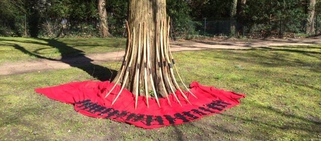 Langbögen sternförmig um einen Baumstamm gelegt
